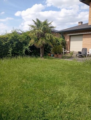 JARDINERO PARA CHALETS!