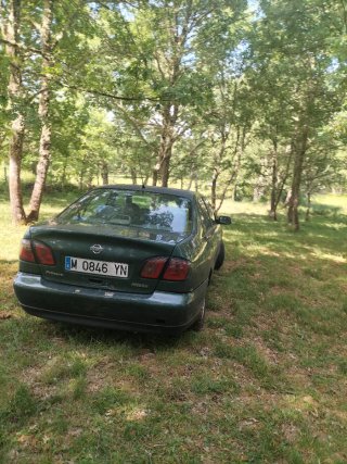 Nissan Primera 1999