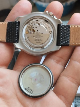 Reloj Citizen Diver's 200M Automático