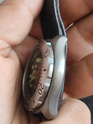 Reloj Citizen Diver's 200M Automático