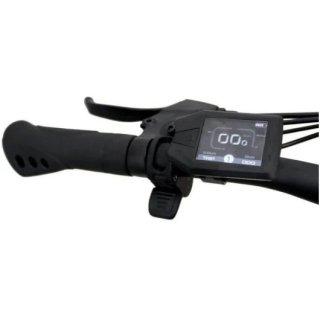 Bicicleta eléctrica Reebok 250W 13000mAh 36V 29″