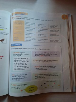 Llengua catalana, 4 Primària, Projecte Construi...