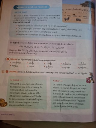Llengua catalana, 4 Primària, Projecte Construi...