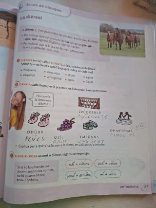 Llengua catalana, 4 Primària, Projecte Construi...