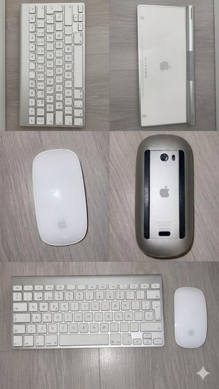 Teclado y Ratón Apple Plata/Blanco