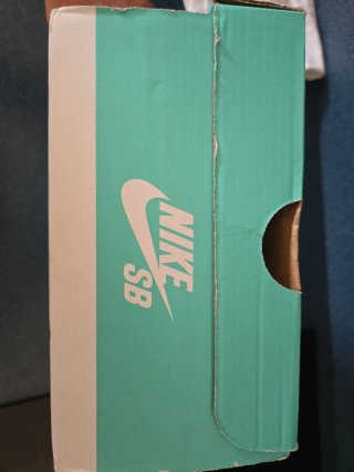 Nike SB Force 58 Teal