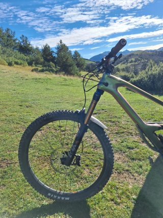 Cannondale jekyll 1