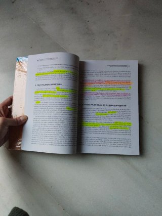Políticas comparadas de la Educación Social