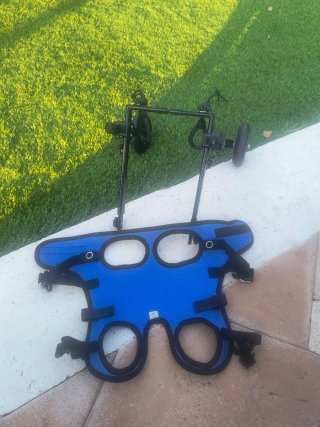 Sillita de ruedas para mascotas