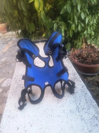 Sillita de ruedas para mascotas