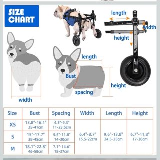 Sillita de ruedas para mascotas
