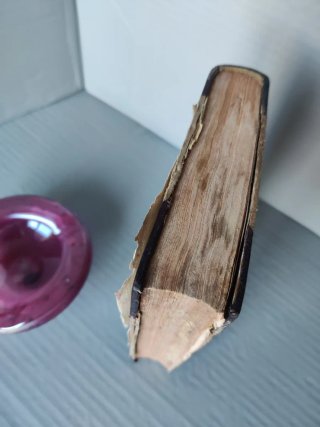 Libro Manuel Diplomatique de Martens