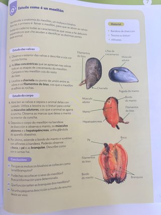 BIOLOXIA E XEOLOXIA 1 ESO Santillana