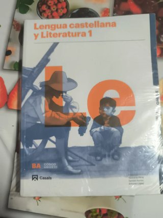 Lengua castellana y literatura 1, Le Bachillerato