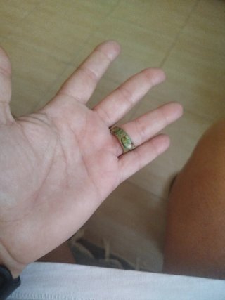 Anillo de cuero