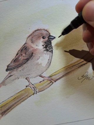 Originale disegno acquerello uccellino su ramo
