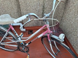 Bicicleta chica vintage rosa y blanca