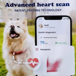 Collar Inteligente Invoxia Perro GPS Salud