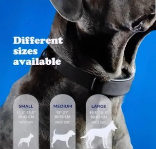Collar Inteligente Invoxia Perro GPS Salud