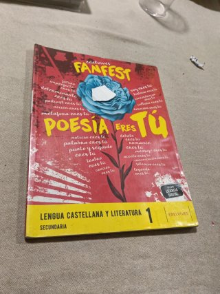Lengua castellana y literatura 1 Secundaria