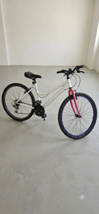 Bicicleta mediana con 2 asientos incluidos