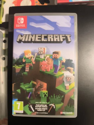 Minecraft Nintendo Switch