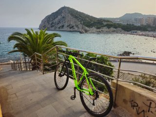 Bicicleta Moma 29'