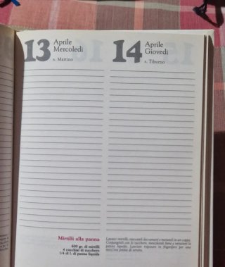 Agenda 1994 in casa oggi Q8