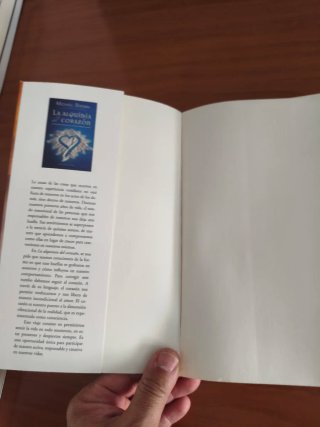 Libro el proceso de la presencia