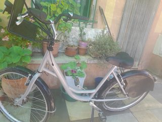 Bicicleta Paseo Señora Gris