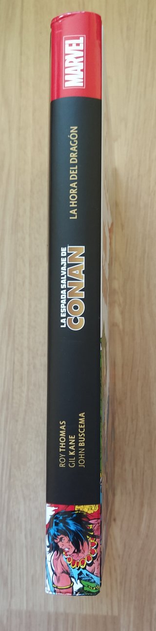 La espada salvaje de Conan. La hora del dragón