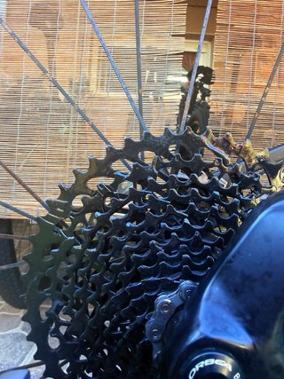 ORBEA OIZ KASHIMA XT