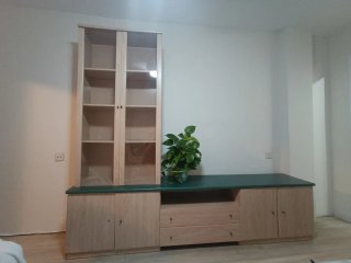 Mueble de salón y vitrina