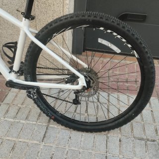 Specialized Rockhopper 29"