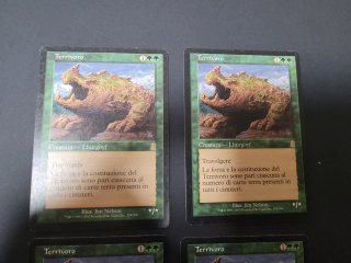 4x Terrivoro Magic The Gathering Carte