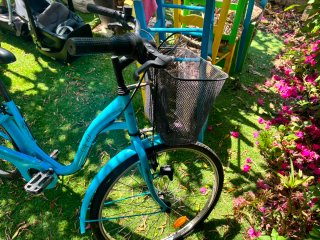 Bicicleta Azul con Cesta y Portabultos