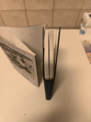 Los aéreos