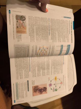 Historia del mundo contemporáneo 1 Bachillerato