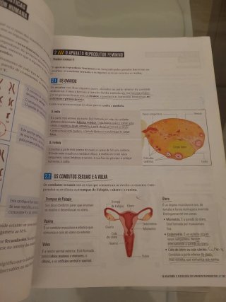 Bioloxía e Xeoloxía, 3 Secundaria, Fanfest