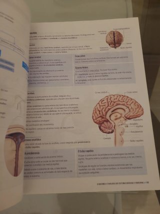 Bioloxía e Xeoloxía, 3 Secundaria, Fanfest