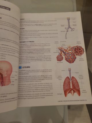 Bioloxía e Xeoloxía, 3 Secundaria, Fanfest