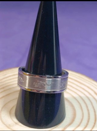 Anillos Acero Varios Diseños Talla 12