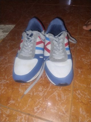 Zapatillas EA7 Grises, Blancas, Azules y Rojas