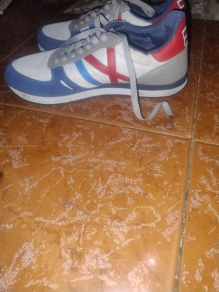 Zapatillas EA7 Grises, Blancas, Azules y Rojas