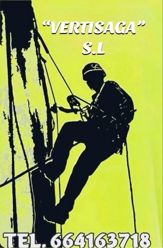 Trabajos verticales