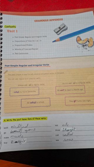 Libro inglés SpeedUp course 1 Amco