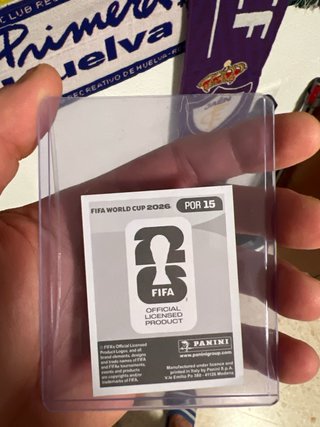Cromo Panini Mundial