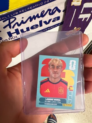 Cromo Panini Mundial