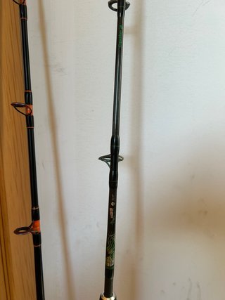 Pareja Cañas  pesca Curricán