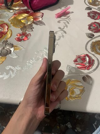 iPhone 13 Pro dorado